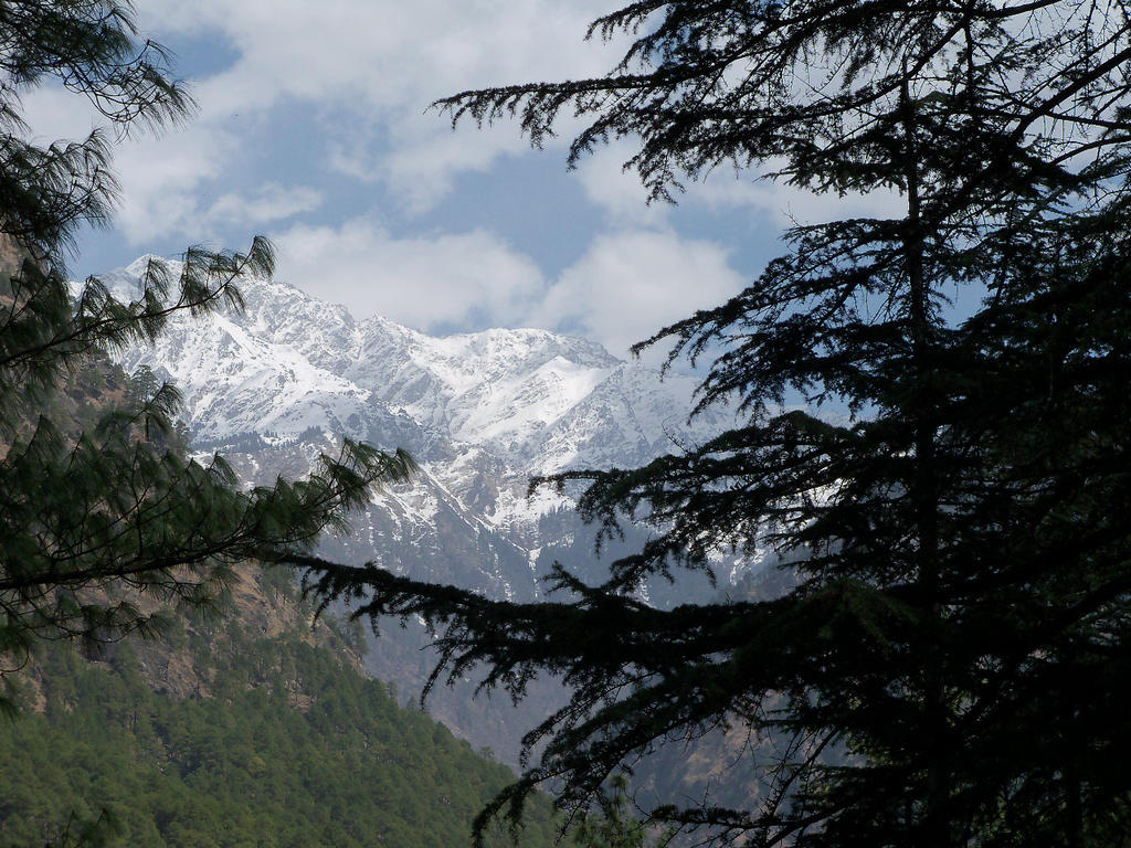 Parvati Kuteer Riverside Resort Kasol Exteriör bild